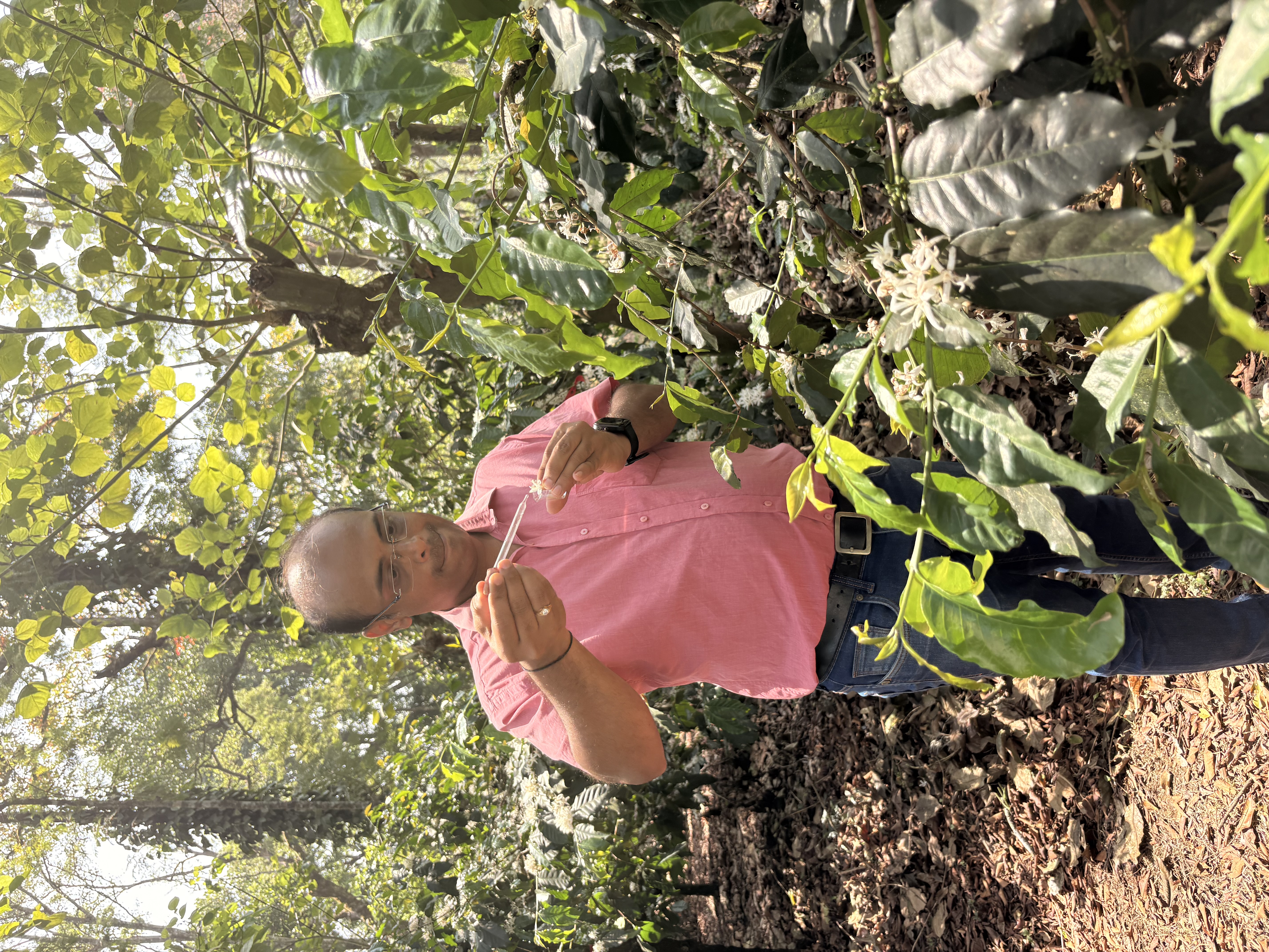 Plant Physiology