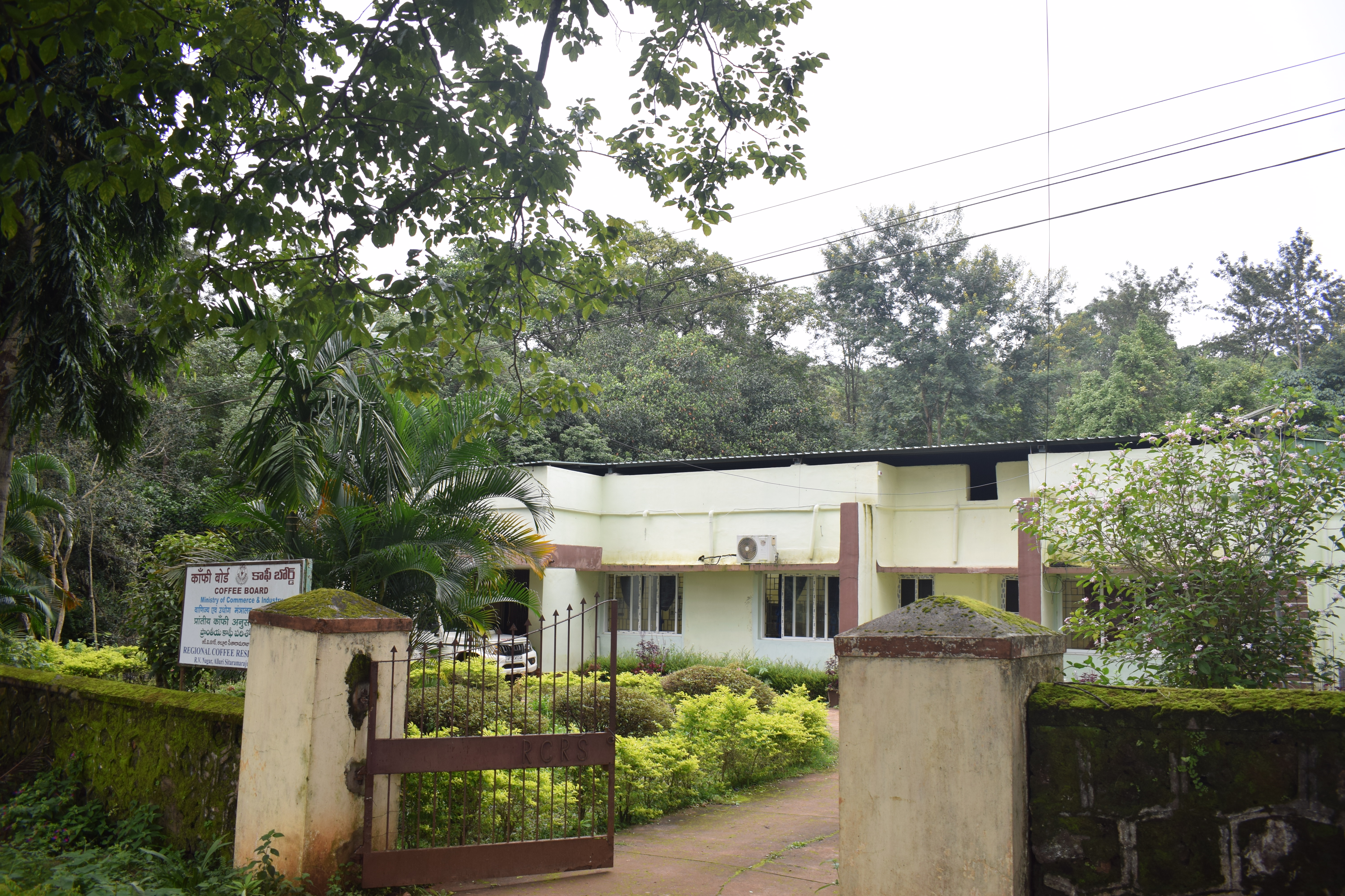 Regional Coffee Research Station (RCRS), R.V. Nagar, Andhra Pradesh Regional Coffee Research Station (RCRS), R.V. Nagar, Andhra Pradesh